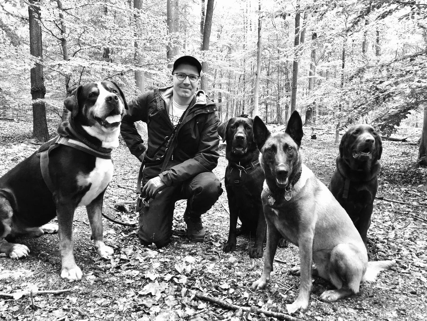 14.10.2023 Verstehen wir uns? Abendvortrag zur Kommunikation von Hunden mit Marcel Gruner