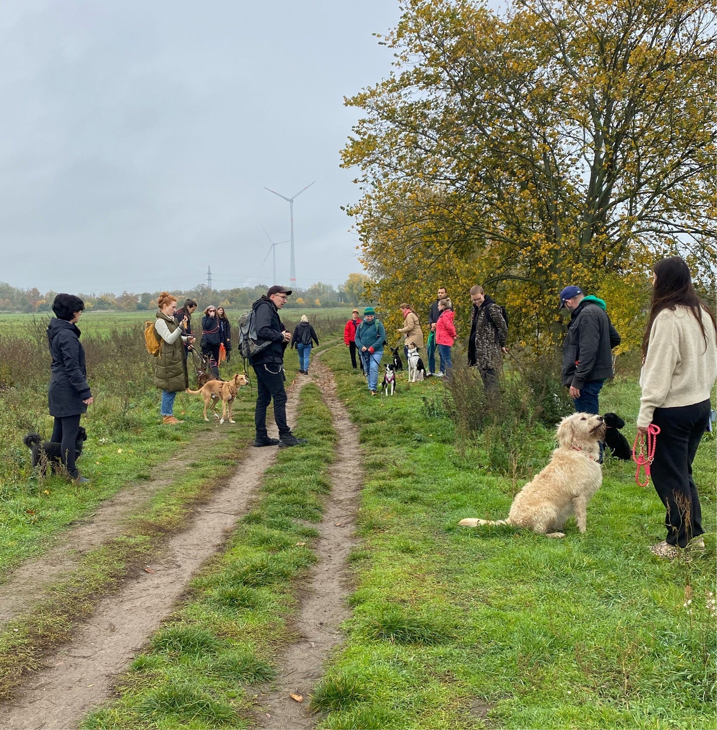 21.10.2023 Lernspaziergang: körpersprachlich kommunizieren