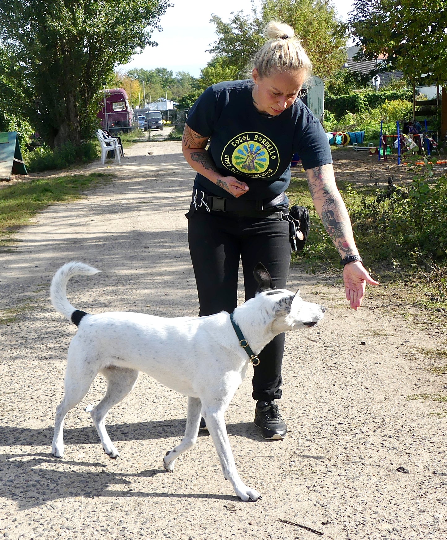 22.06.2024 Workshop körpersprachlich mit Hunden arbeiten