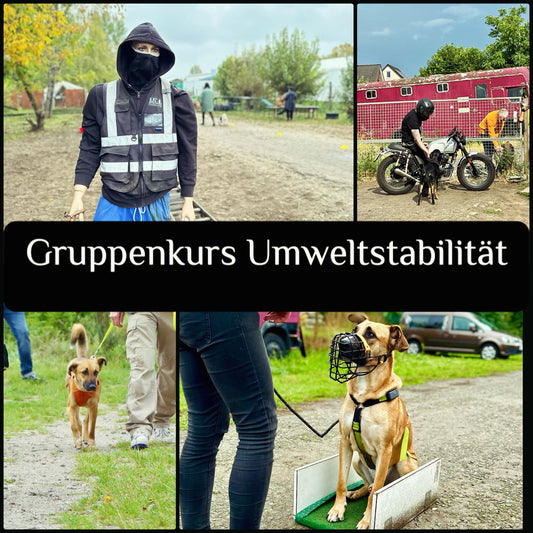 29.04.2025 17.30 Uhr Gruppenkurs Umweltstabilität Pankow mit Frantje