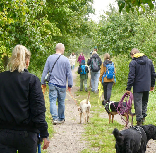 14.06.2025 Lernspaziergang -JUNI- Berlin ARKENBERGE