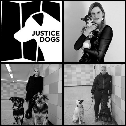 29.06.25 -HUND TRIFFT PSYCHOPATH - Deliktorientierte hundgestützte Täterarbeit. Ein Webinar mit Gilda Giebel und Justice Dogs.